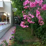 Arteka