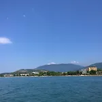 Arteka