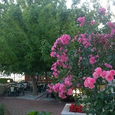 Arteka فندق 2*