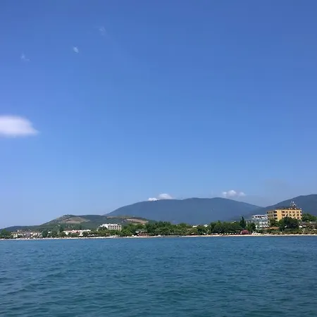 Arteka