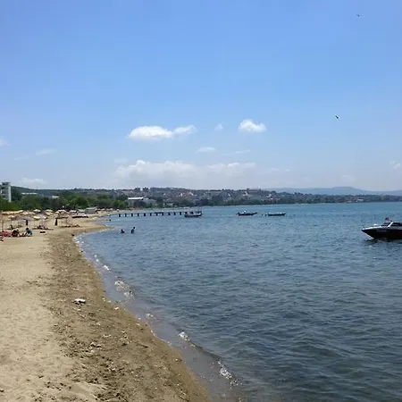 Arteka 2*