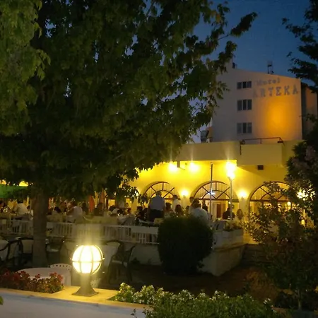 Hotel Arteka