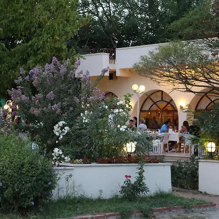 Arteka