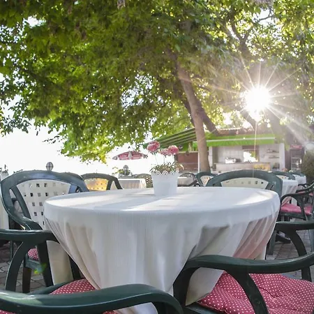 فندق Arteka