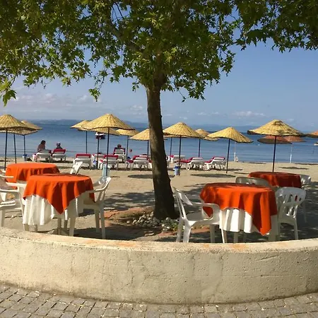 Arteka Hotel 2*