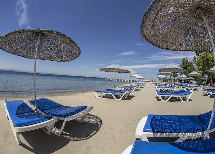 Arteka Hotell Ocaklar